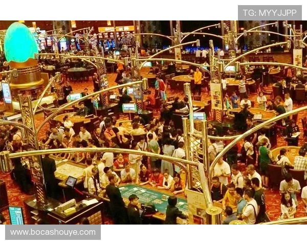 新澳门娱乐：2024年最受欢迎的娱乐活动全攻略